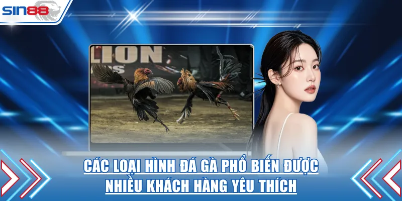 Các loại hình đá gà phổ biến được nhiều khách hàng yêu thích