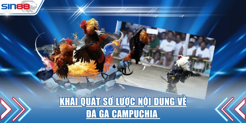 Khái quát sơ lược nội dung về đá gà Campuchia