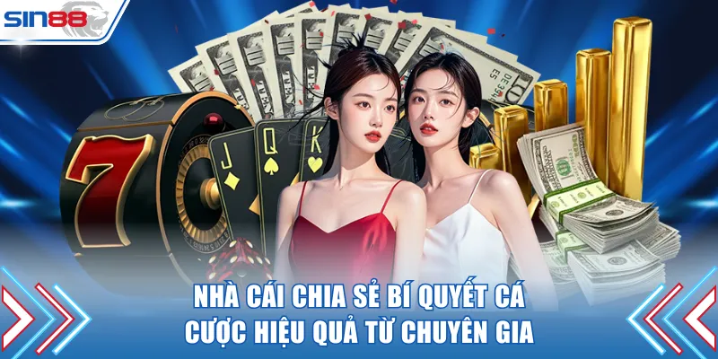 Nhà cái chia sẻ bí quyết cá cược hiệu quả từ chuyên gia